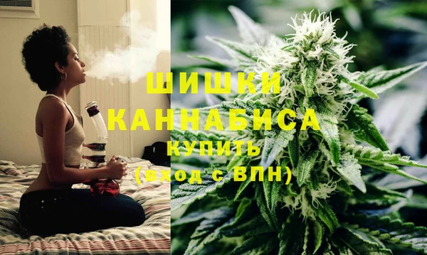 apvp Надым