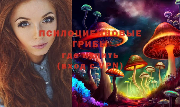 apvp Надым