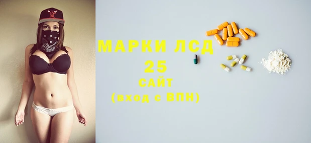PSILOCYBIN Навашино