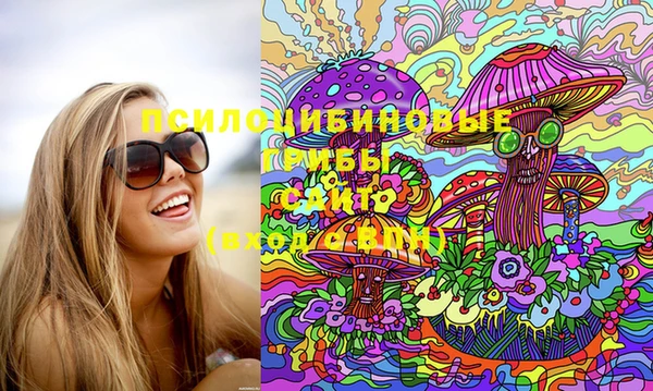 PSILOCYBIN Навашино