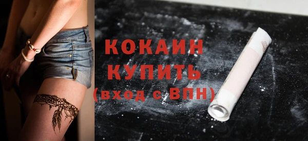 дмт Гатчина