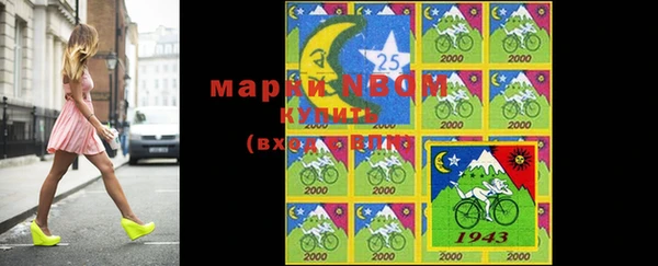 apvp Надым